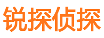 渑池侦探社